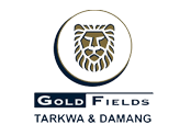 GOLD FIELDS (TARKWA & DAMANG)